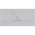 Msi Calacatta Gold SAMPLE Polished Marble Floor And Wall Tile ZOR-NS-0053-SAM